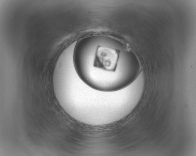 X0000082941398200702011100