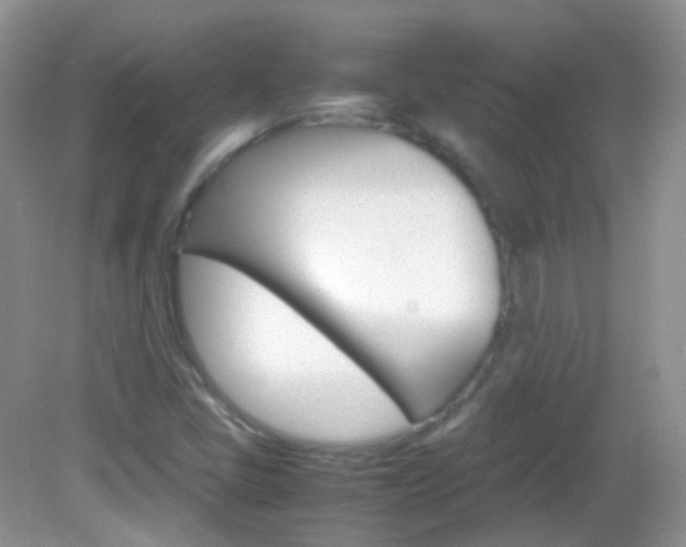 X0000082941405200702011100