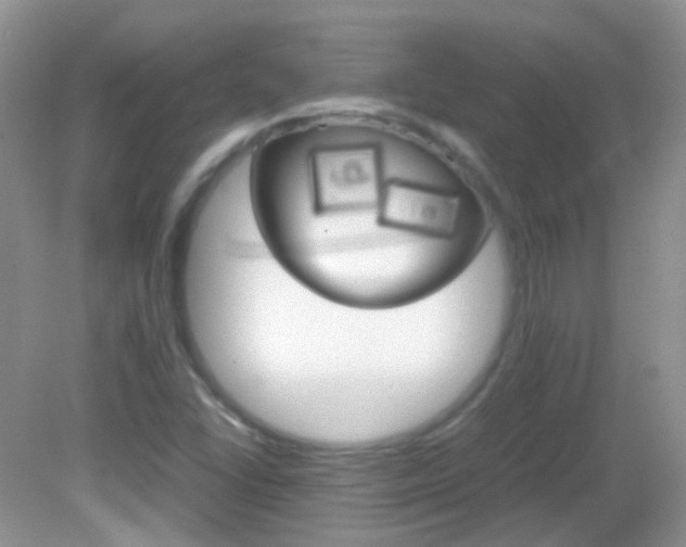 X0000082941406200702011100