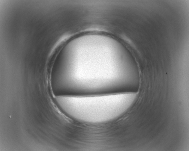 X0000082941408200702011100