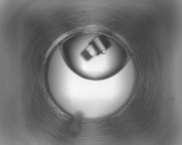 X0000082941410200702011100