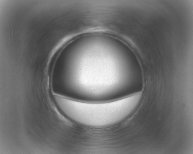 X0000082941414200702011100