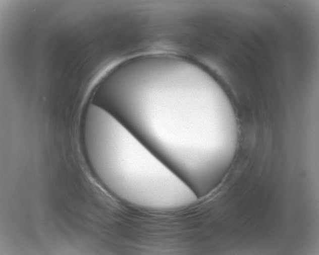 X0000082941415200702011100