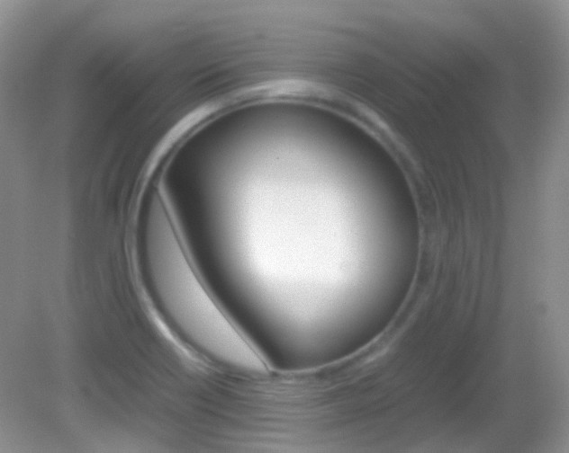X0000082941418200702011100
