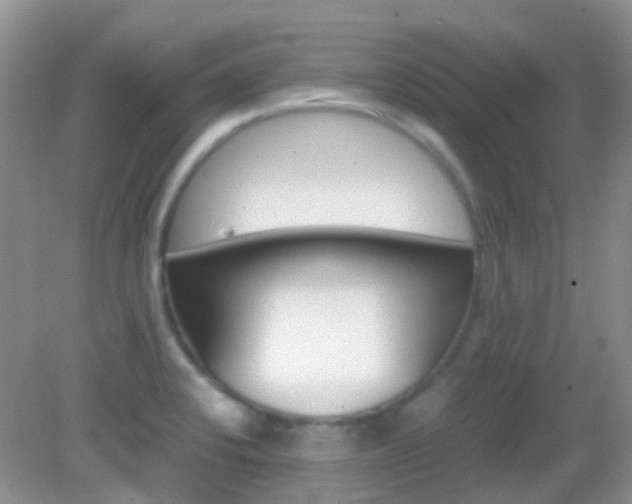 X0000082941424200702011100