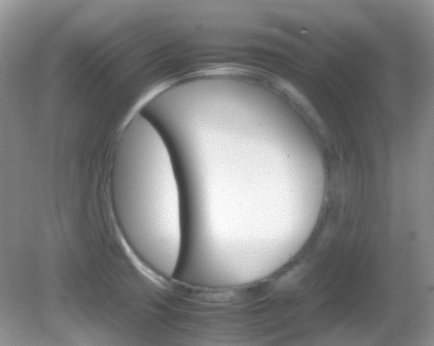 X0000082941425200702011100