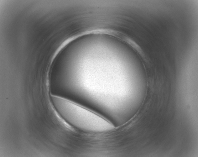 X0000082941428200702011100
