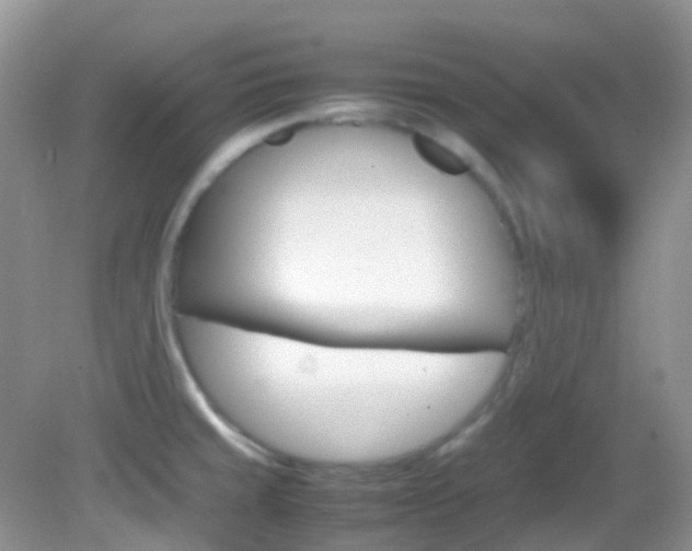 X0000082941429200702011100
