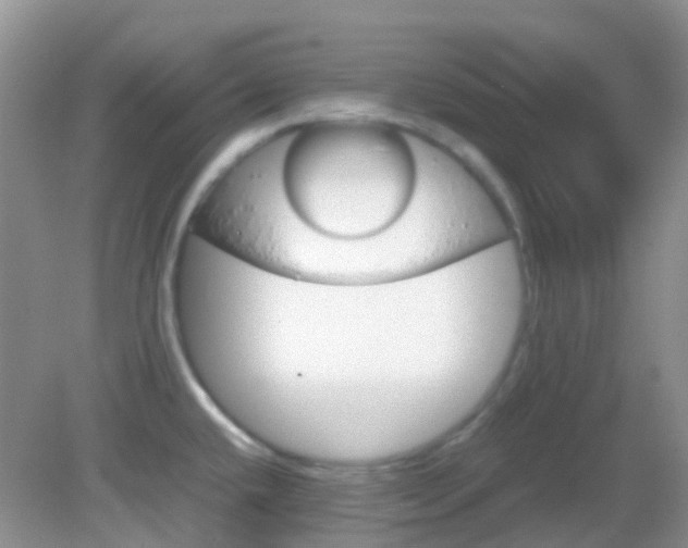 X0000082941432200702011100