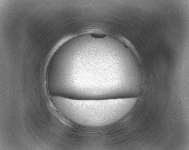 X0000082941435200702011100