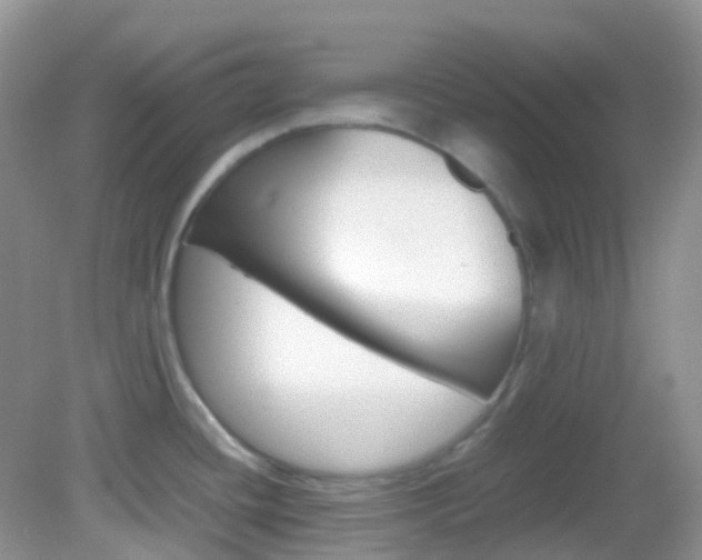 X0000082941436200702011100
