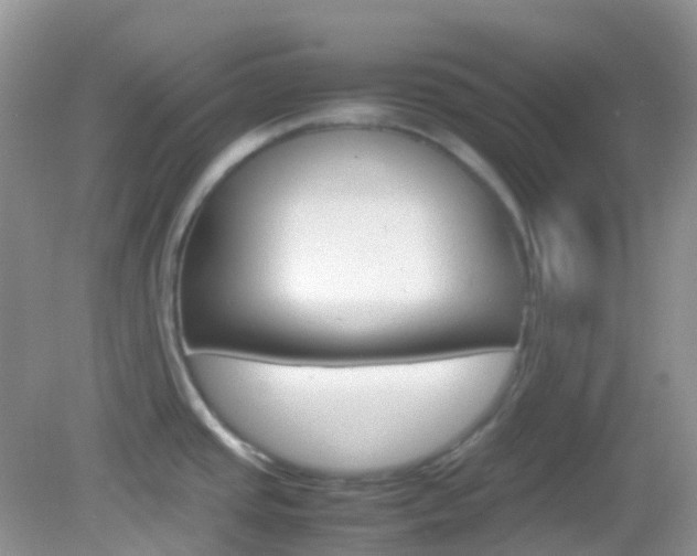 X0000082941437200702011100