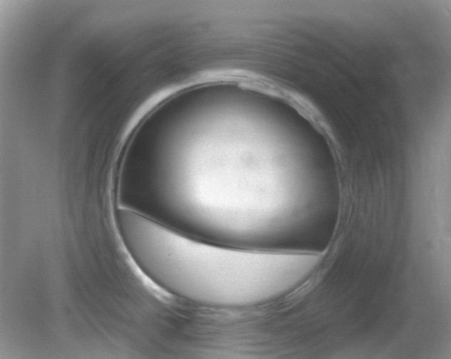 X0000082941438200702011100