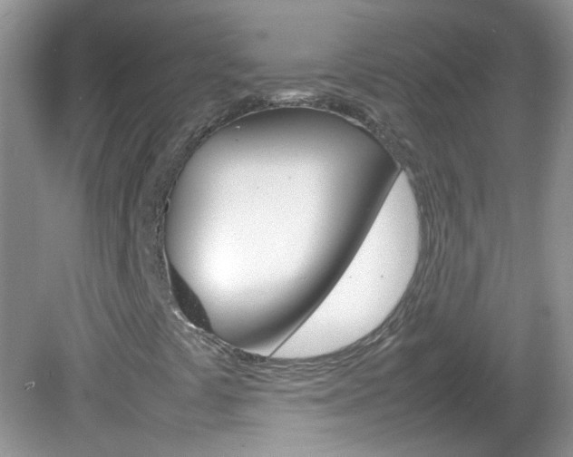 X0000082941441200702011100