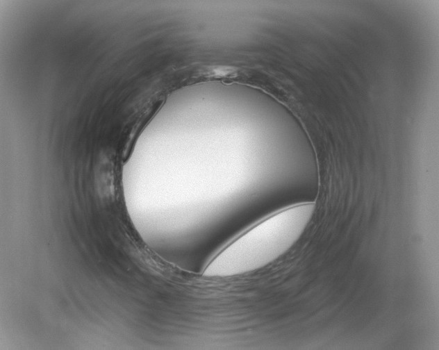 X0000082941442200702011100