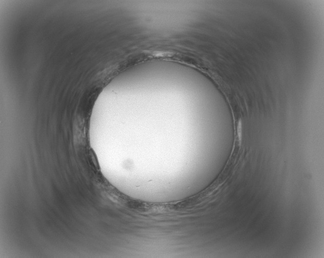 X0000082941443200702011100