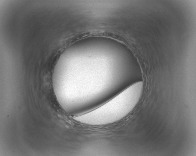 X0000082941445200702011100