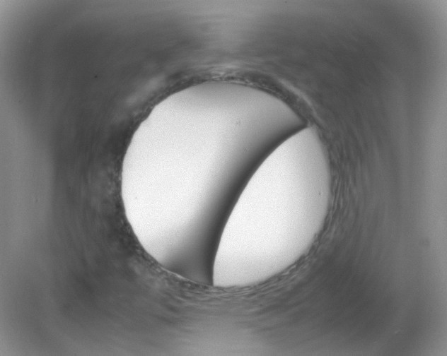 X0000082941447200702011100