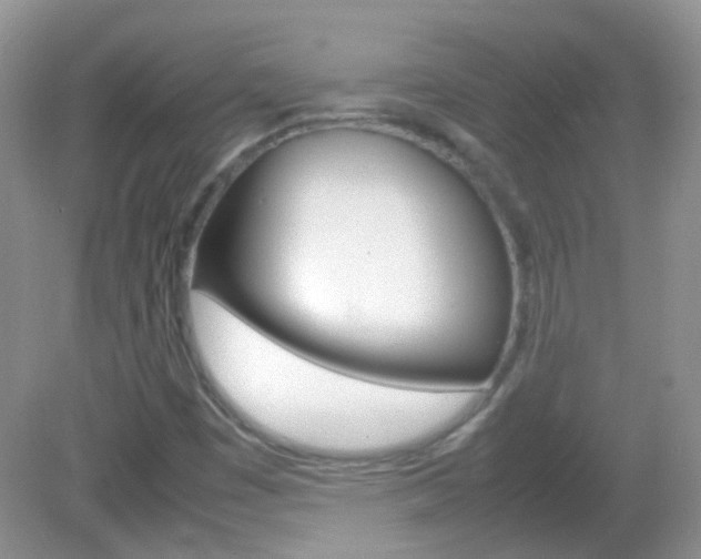 X0000082941449200702011100