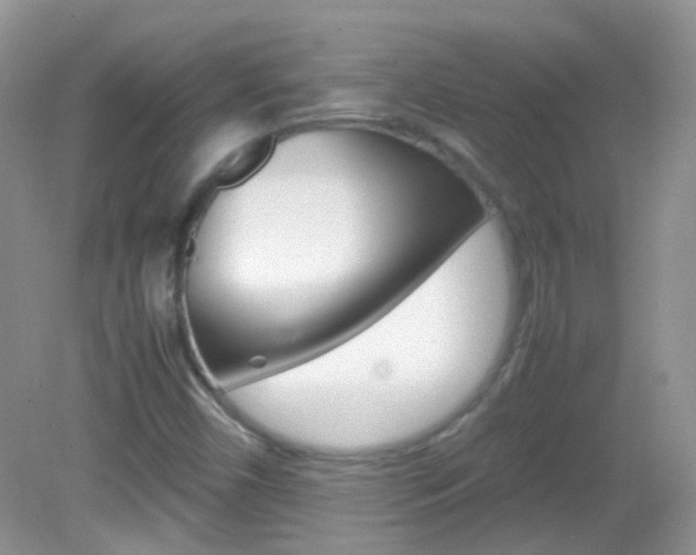 X0000082941450200702011059