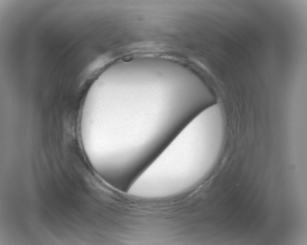 X0000082941451200702011059