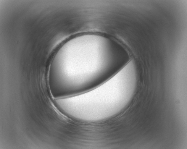 X0000082941452200702011059