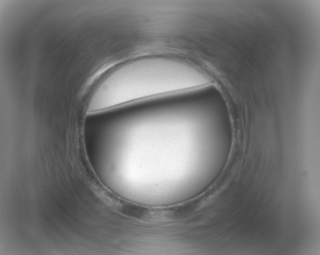X0000082941453200702011059