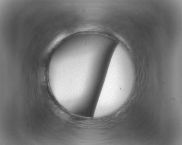 X0000082941455200702011059