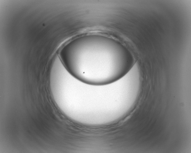 X0000082941457200702011059