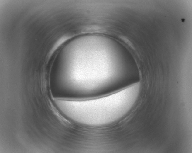 X0000082941458200702011059