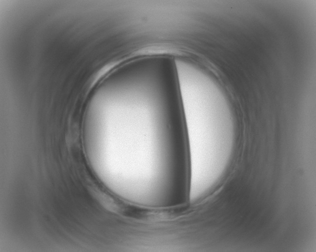 X0000082941465200702011059