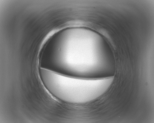 X0000082941472200702011059