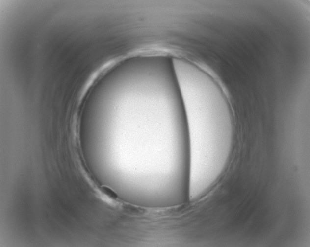X0000082941477200702011059