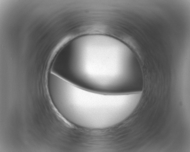X0000082941480200702011059