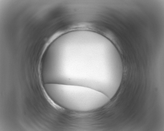 X0000082941482200702011059