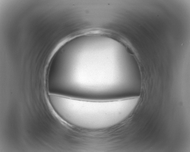 X0000082941483200702011059