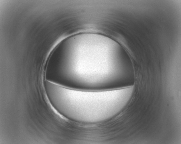 X0000082941484200702011059