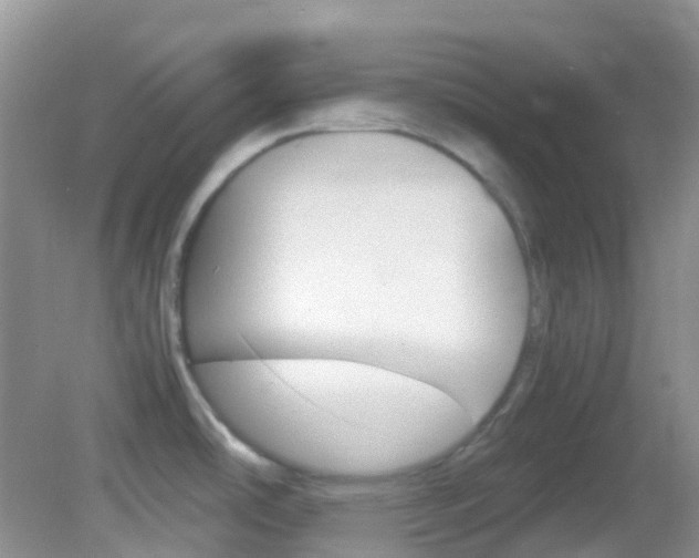 X0000082941486200702011059