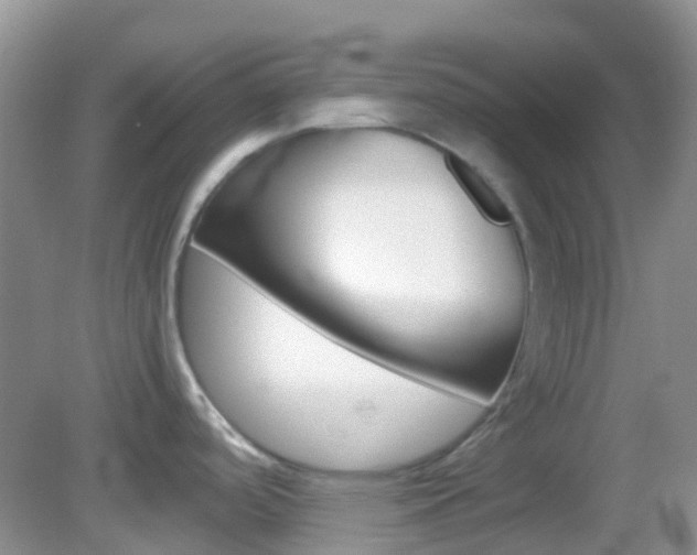 X0000082941488200702011059