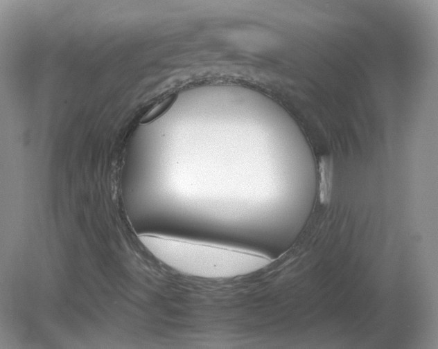 X0000082941491200702011058