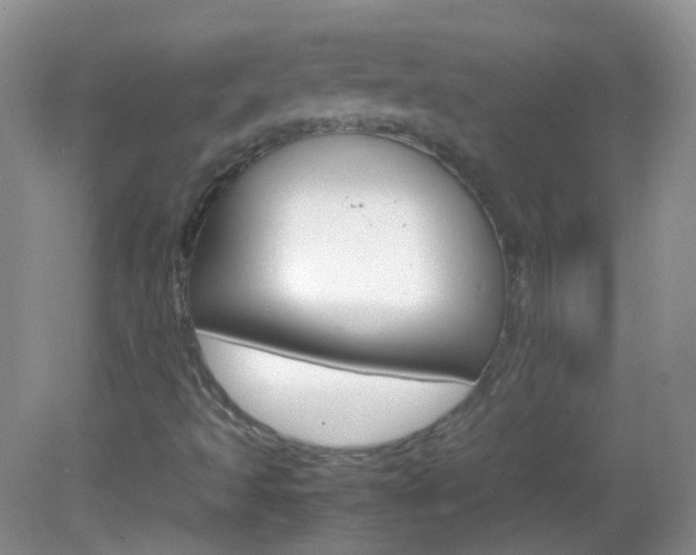 X0000082941493200702011058