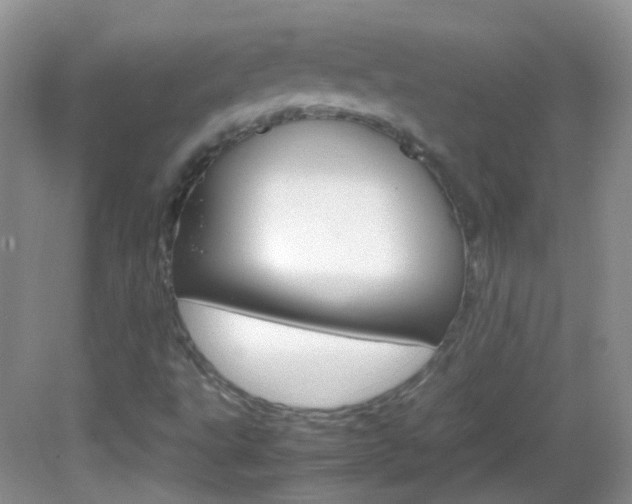 X0000082941495200702011058