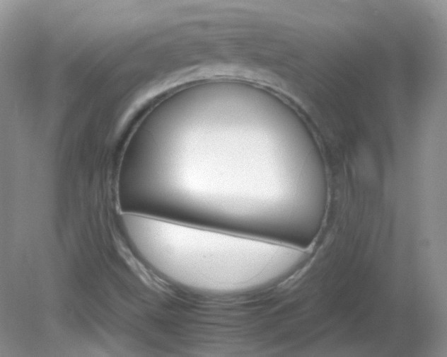 X0000082941499200702011058
