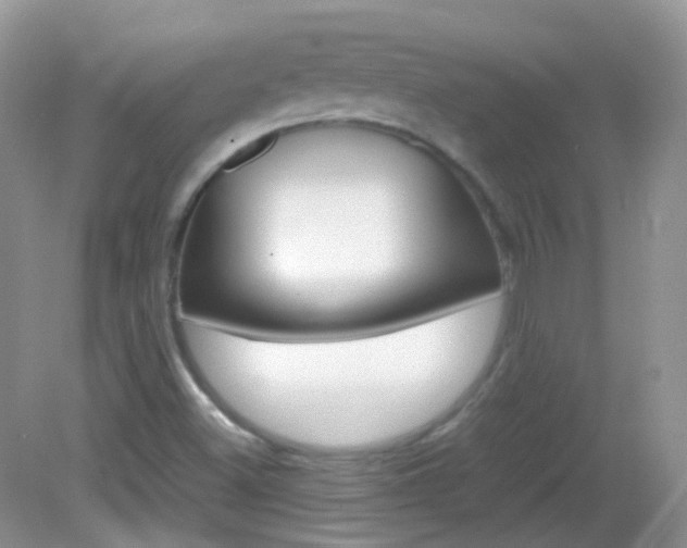 X0000082941500200702011058