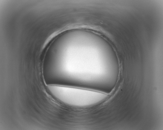 X0000082941501200702011058