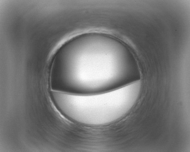 X0000082941504200702011058