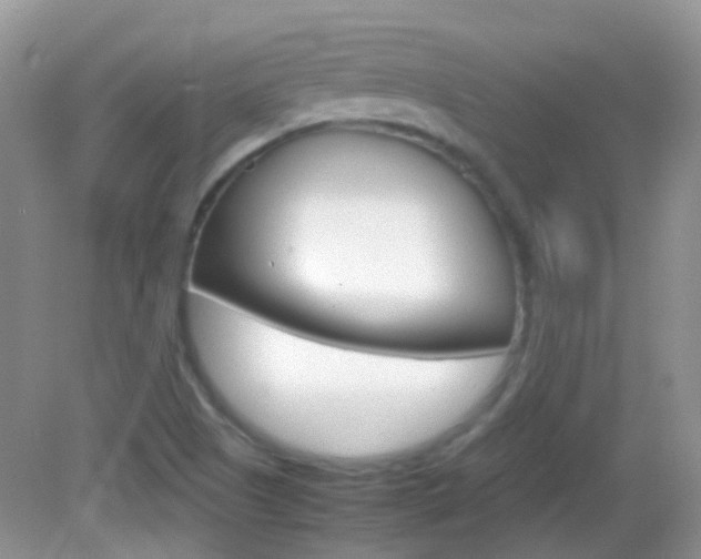 X0000082941505200702011058