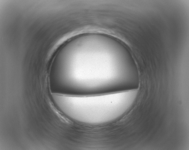 X0000082941507200702011058
