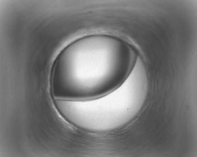 X0000082941512200702011058
