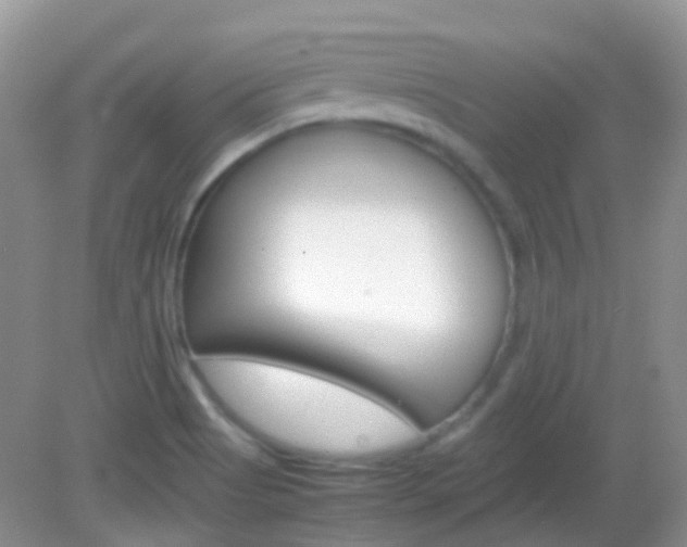 X0000082941513200702011058